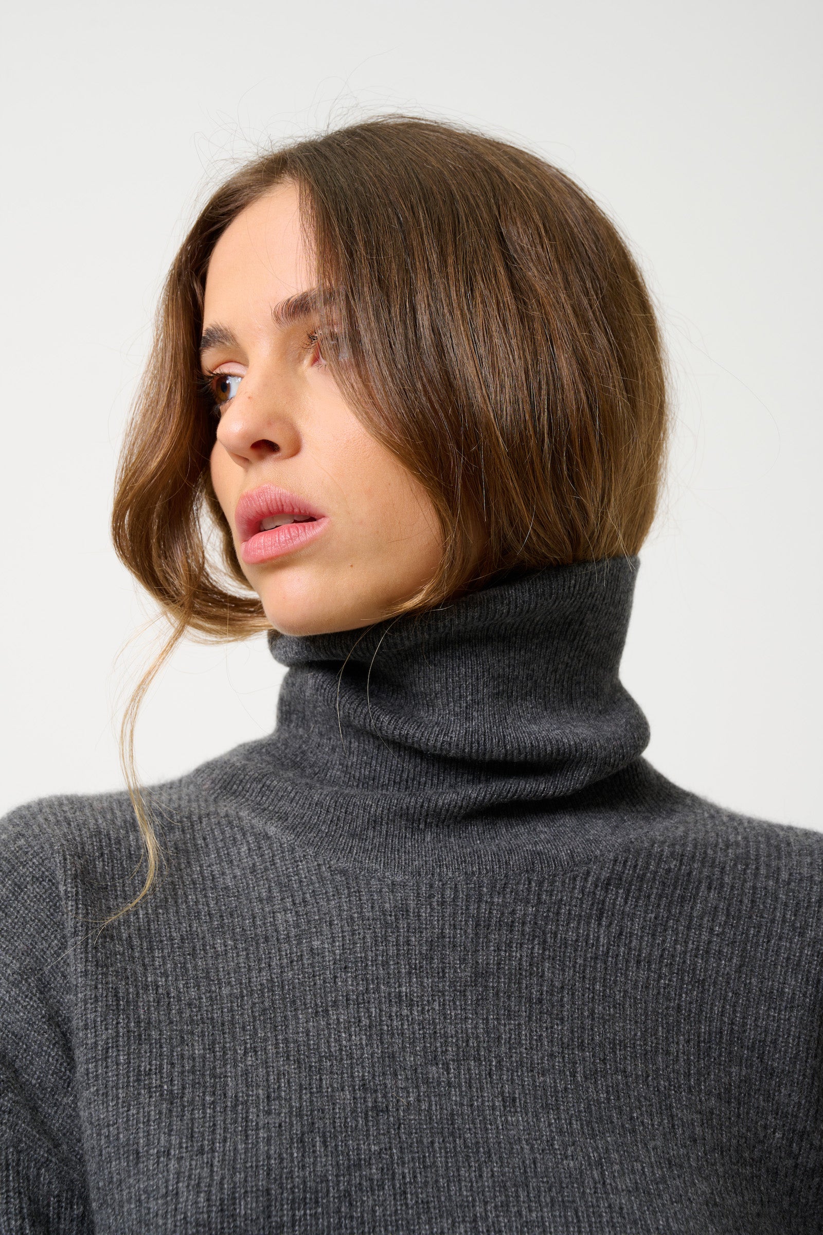Pull Col Roulé - Roxane - Gris
