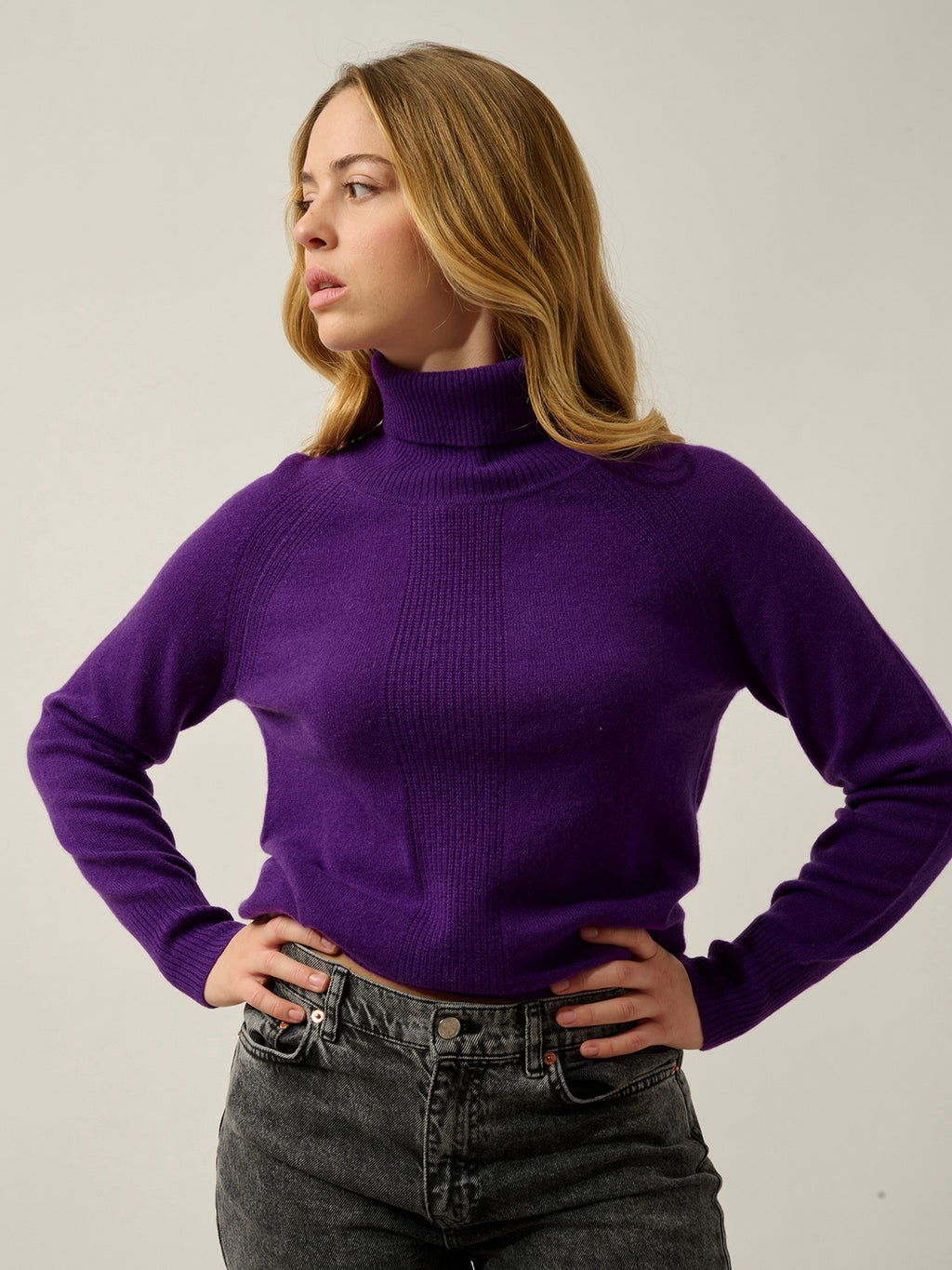 Pull Col Roulé Dolce - Violette