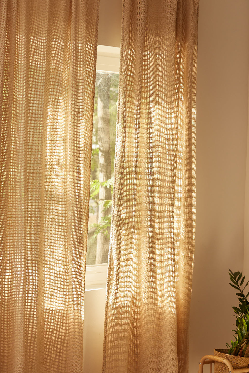 Red Curtain - Ecru