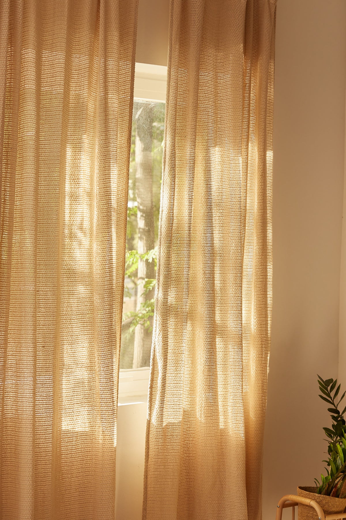Red Curtain - Ecru