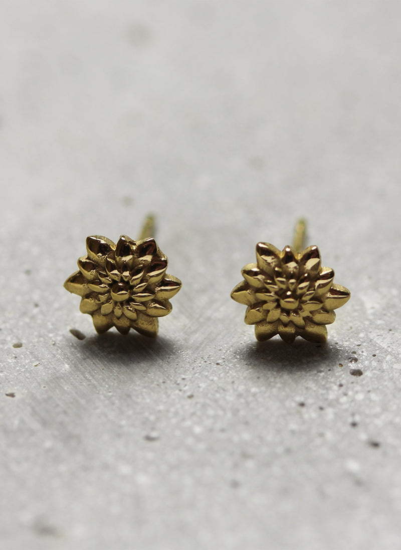 Puces D'Oreilles Azuré