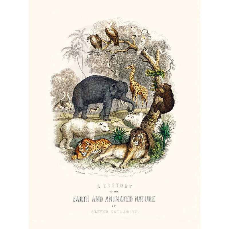 Sciences Naturelles - A History Of Earth And Animated Nature