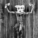 Roger Ballen - Alter Ego