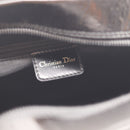 Le Boston Saddle Dior