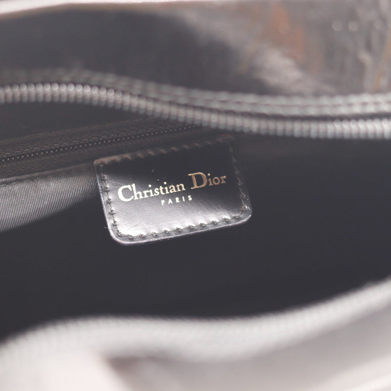 Le Boston Saddle Dior