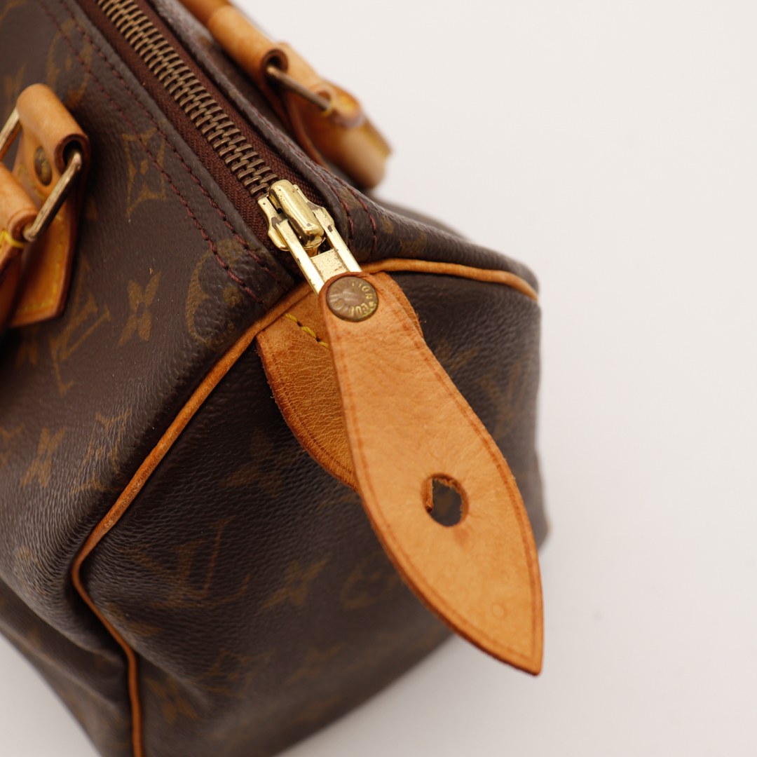 Le Speedy 30 Louis Vuitton