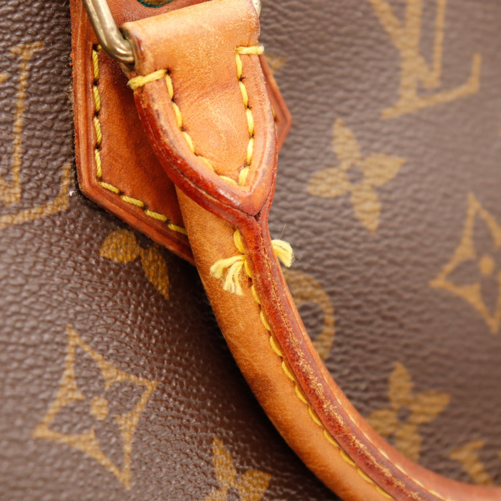 Le Speedy 25 Louis Vuitton
