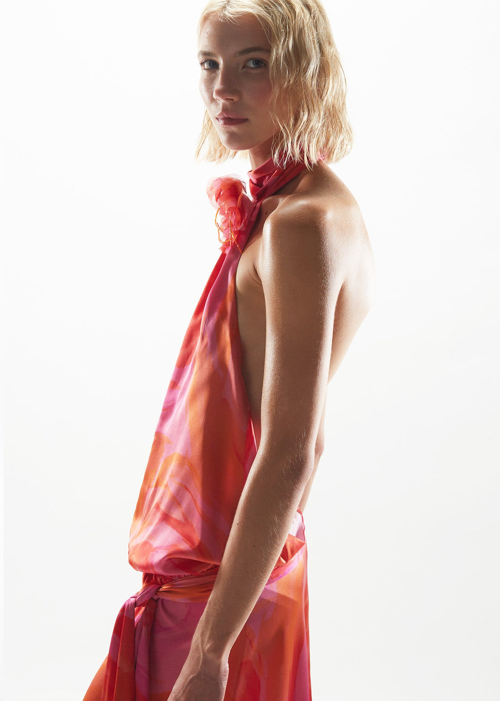Amos Wild Roses Dress