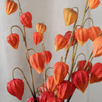 Amour En Cage Artificielle Orange
