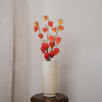 Amour En Cage Artificielle Orange