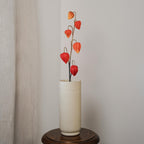 Amour En Cage Artificielle Orange