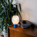 Nitrogen-Cobalt Lamp