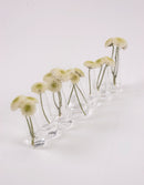 Vase - Chaine 7 Cone - Transparent