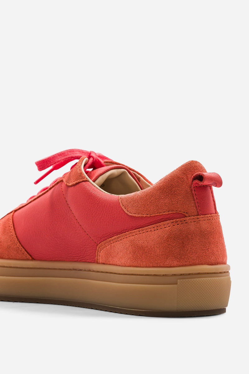 B0 - Geranio - Mixte