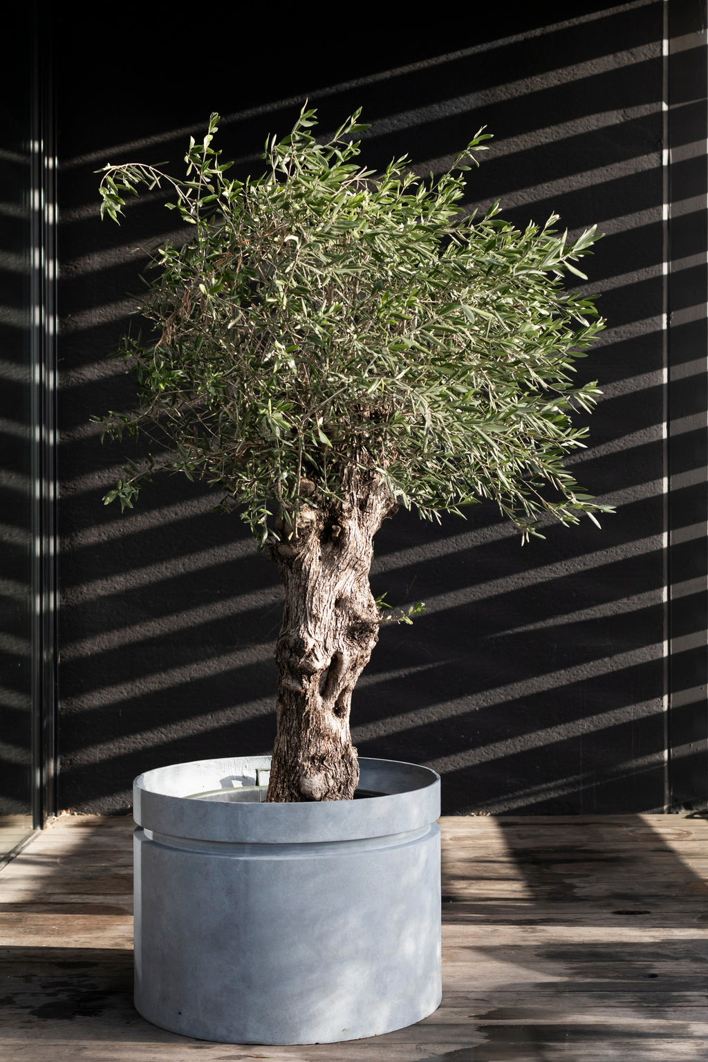Urban Jungle - Jardinière - L - Fibre De Verre - Gris