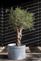 Urban Jungle - Jardinière - L - Fibre De Verre - Gris