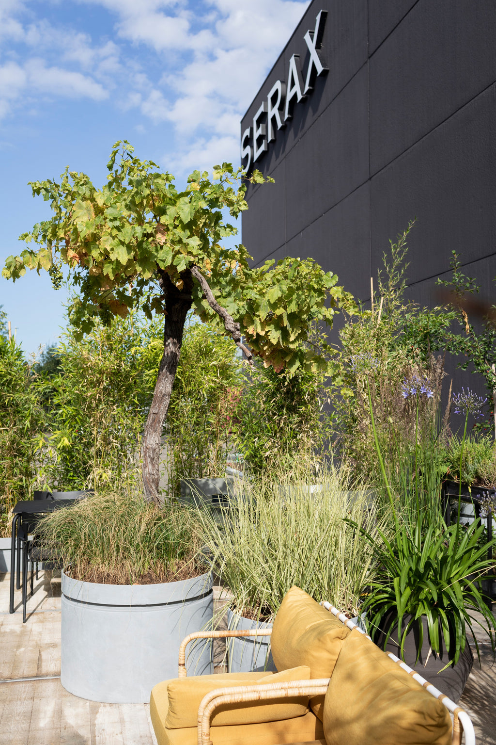 Urban Jungle - Jardinière - L - Fibre De Verre - Gris