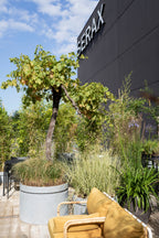 Urban Jungle - Jardinière - L - Fibre De Verre - Gris