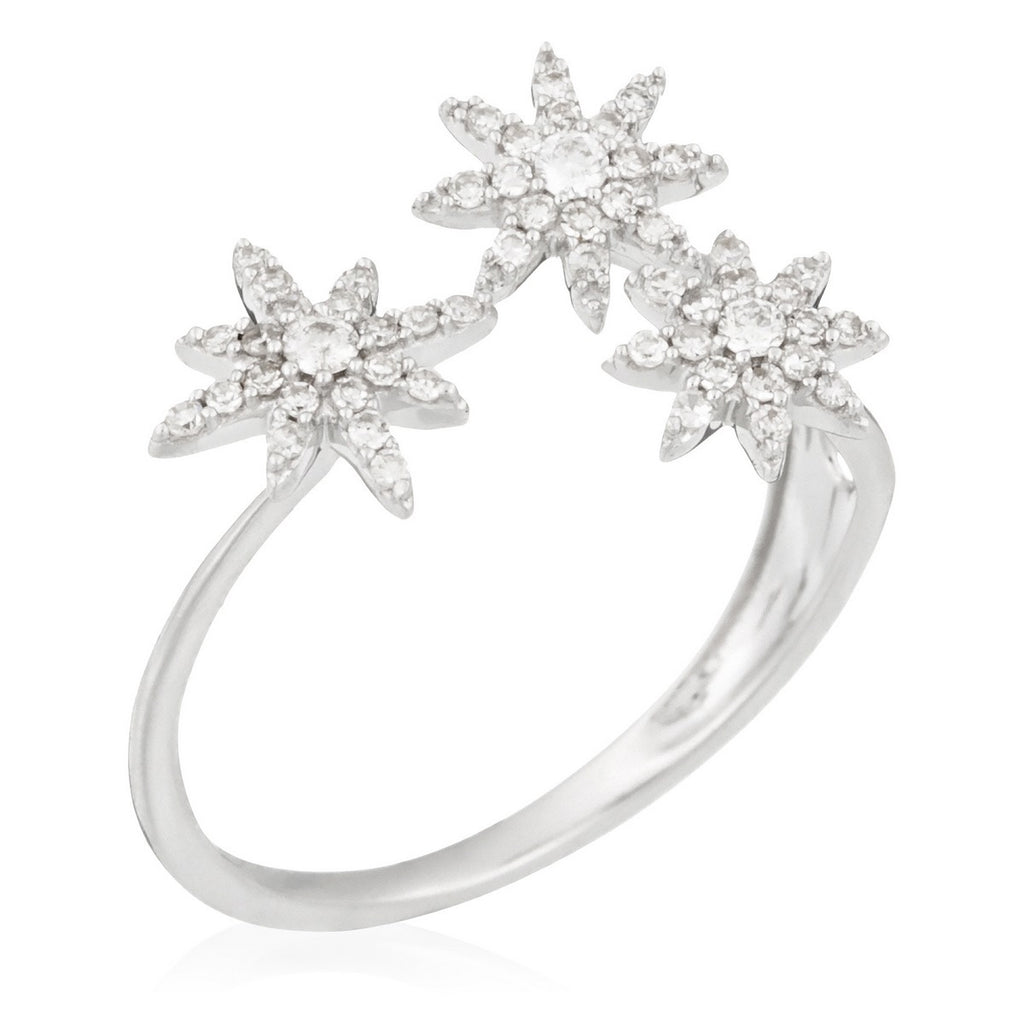 Bague "Bouquet Glacé" D0,20/55