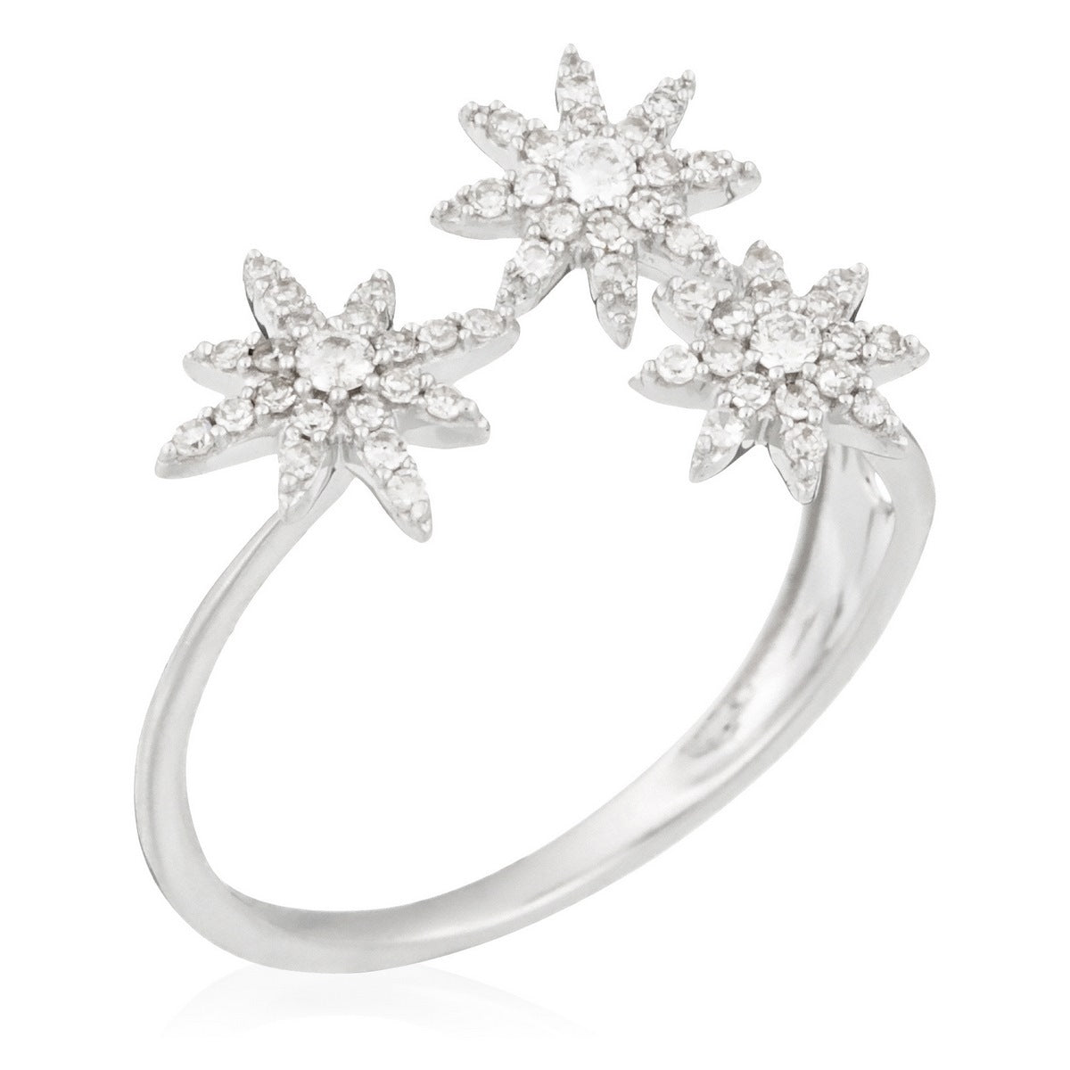 Bague "Bouquet Glacé" D0,20/55