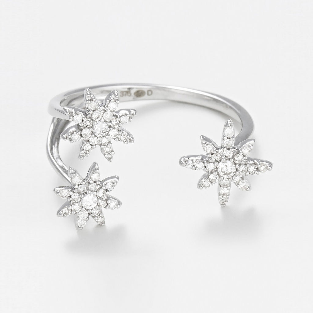 Bague "Bouquet Glacé" D0,20/55