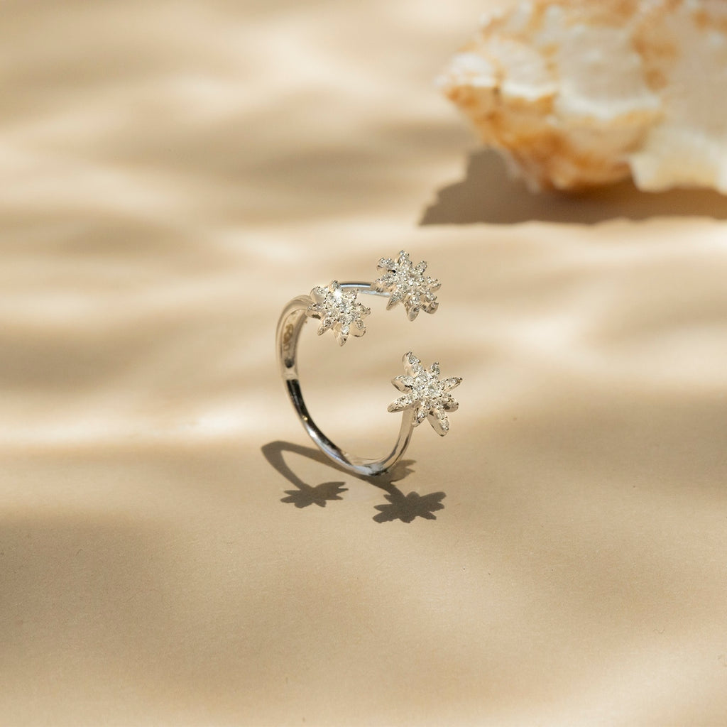 Bague "Bouquet Glacé" D0,20/55