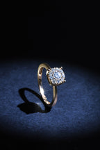 Bague "Brillant Luciana 0,50" Diamants 0,23Ct/1 & 0,27/9