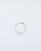 Ateli Ring