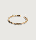 Ring Denis