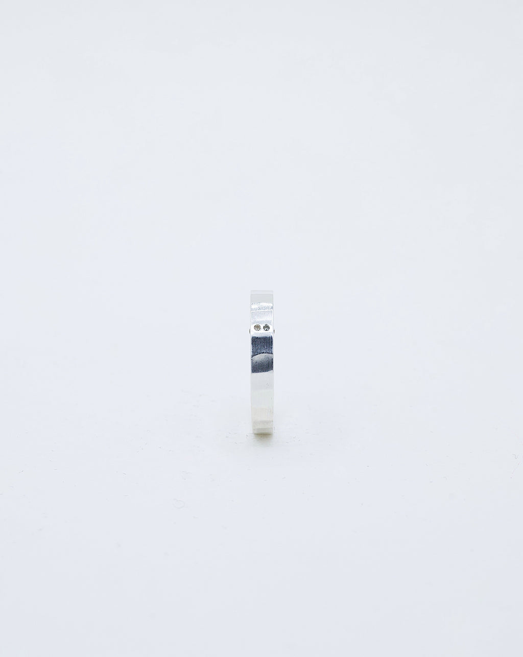 Anillo Niwas