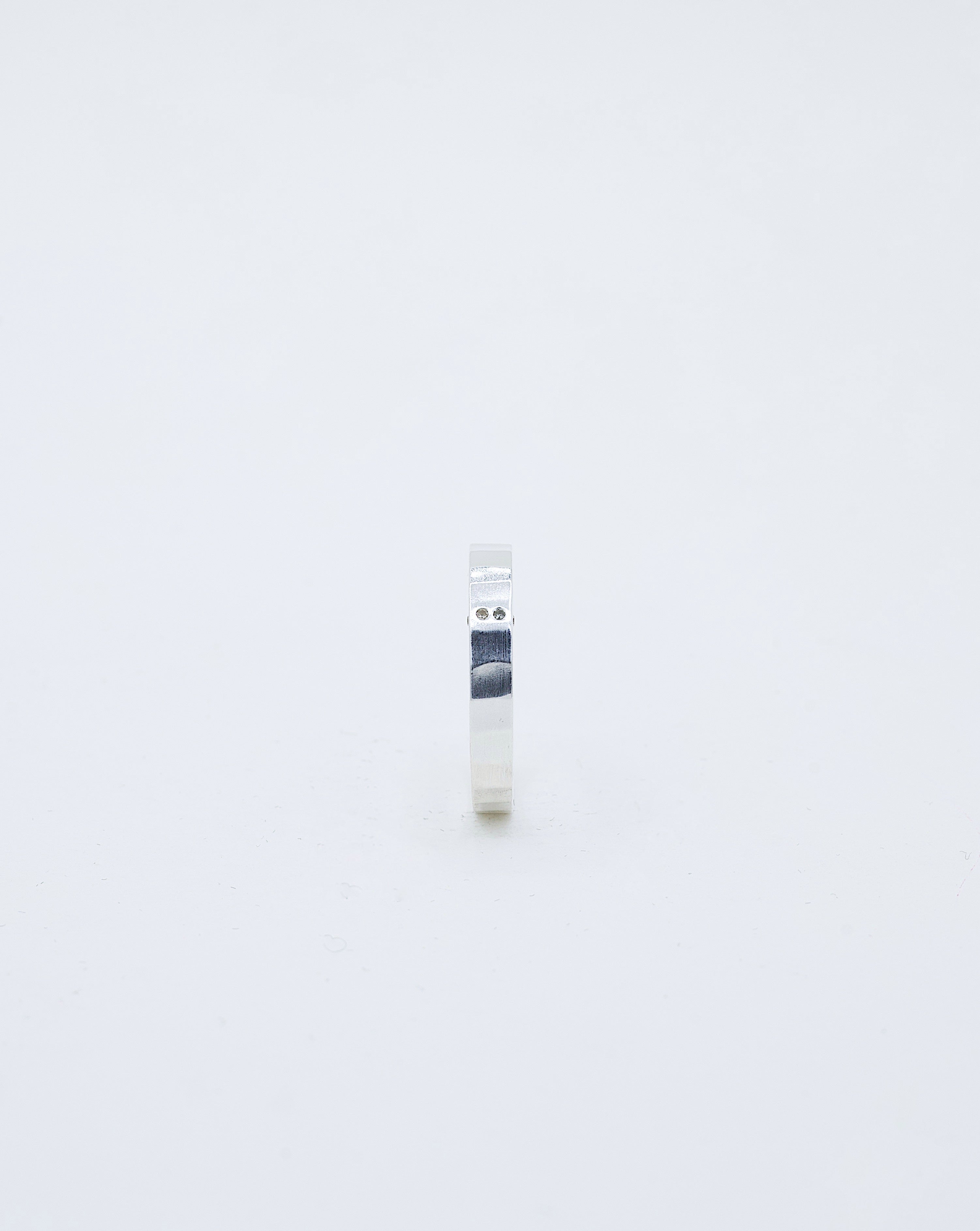 Anillo Niwas