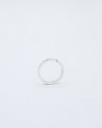Anillo Niwas