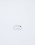 Anillo Niwas