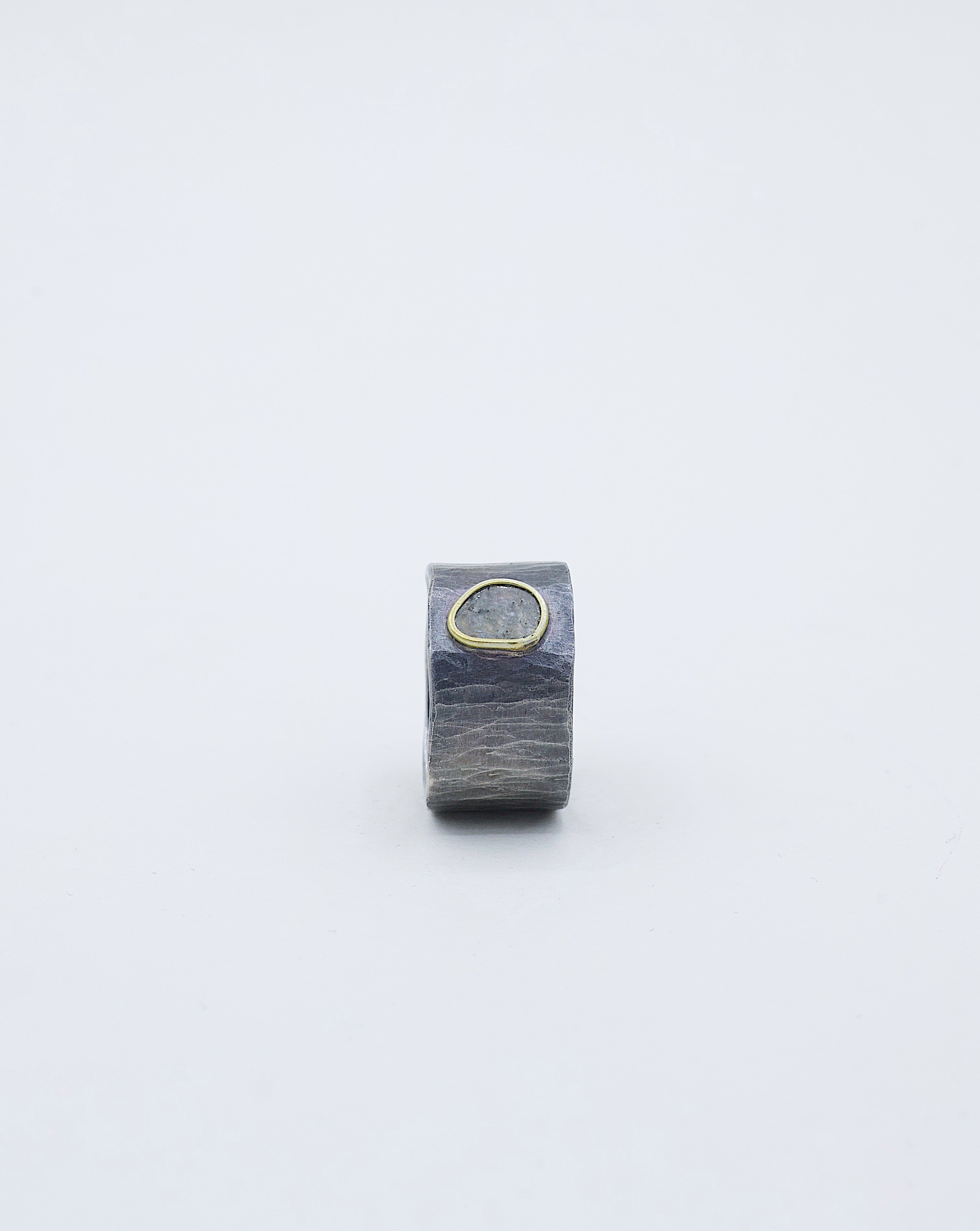 Anillo Polia Oro