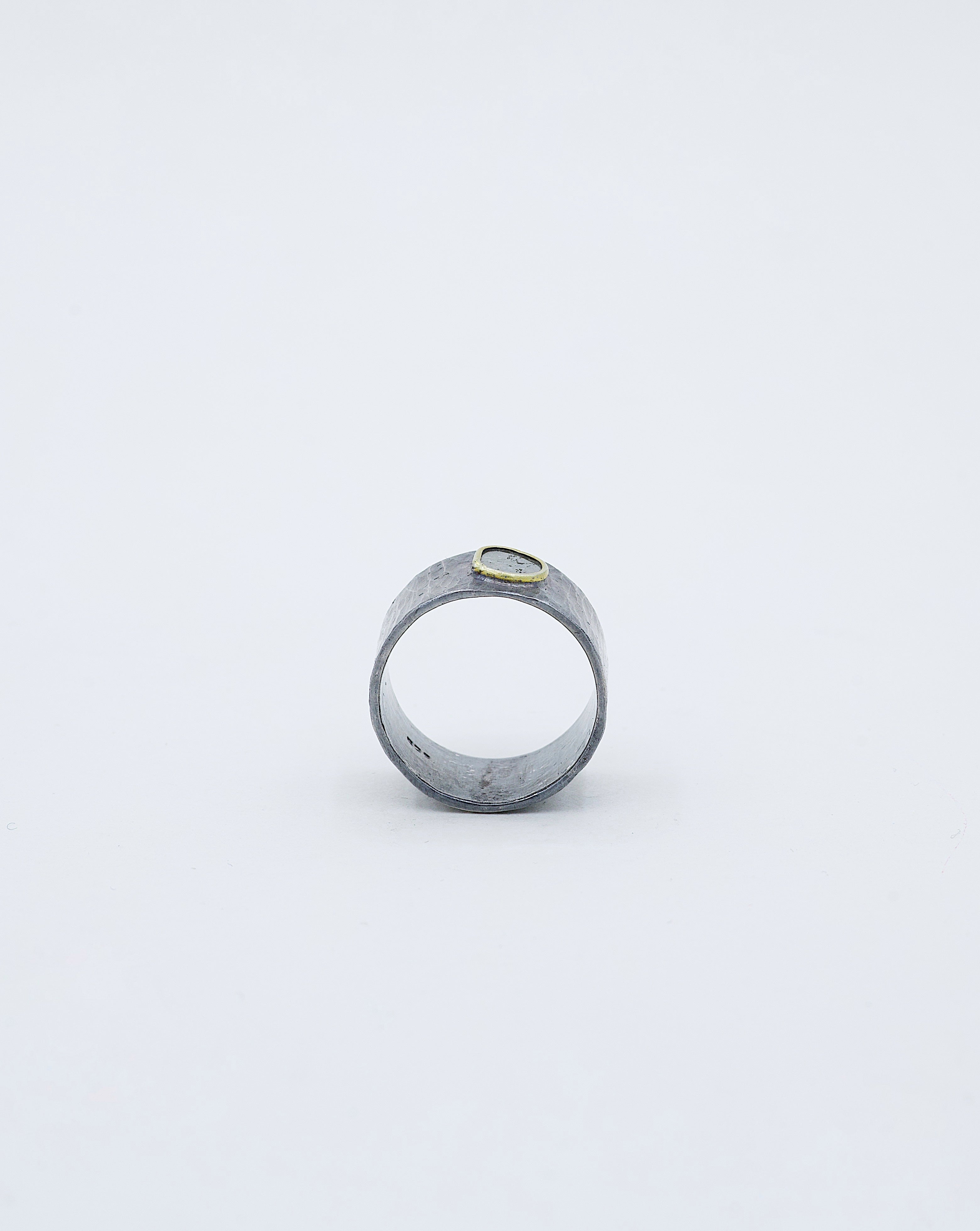Anillo Polia Oro