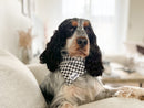 Bandana pour chien vichy 1