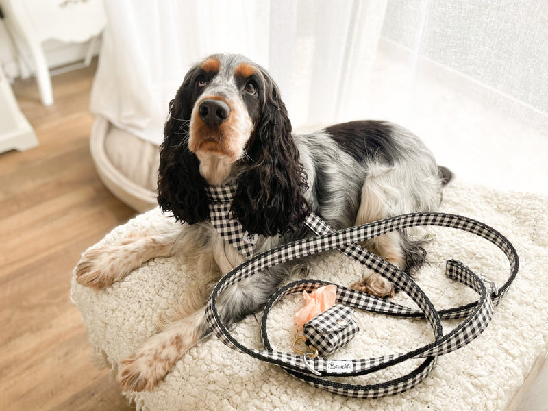 Bandana pour chien vichy 2