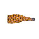 Bandeau Nagpur