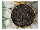 Caviar Beluga 100G