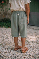 Bermudas Basile Verdigris