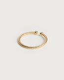 Anillo Chuck