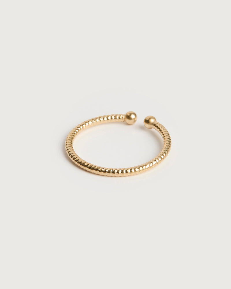Anillo Chuck