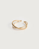anillo tadi