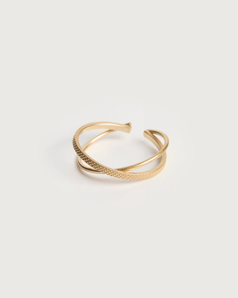 anillo tadi