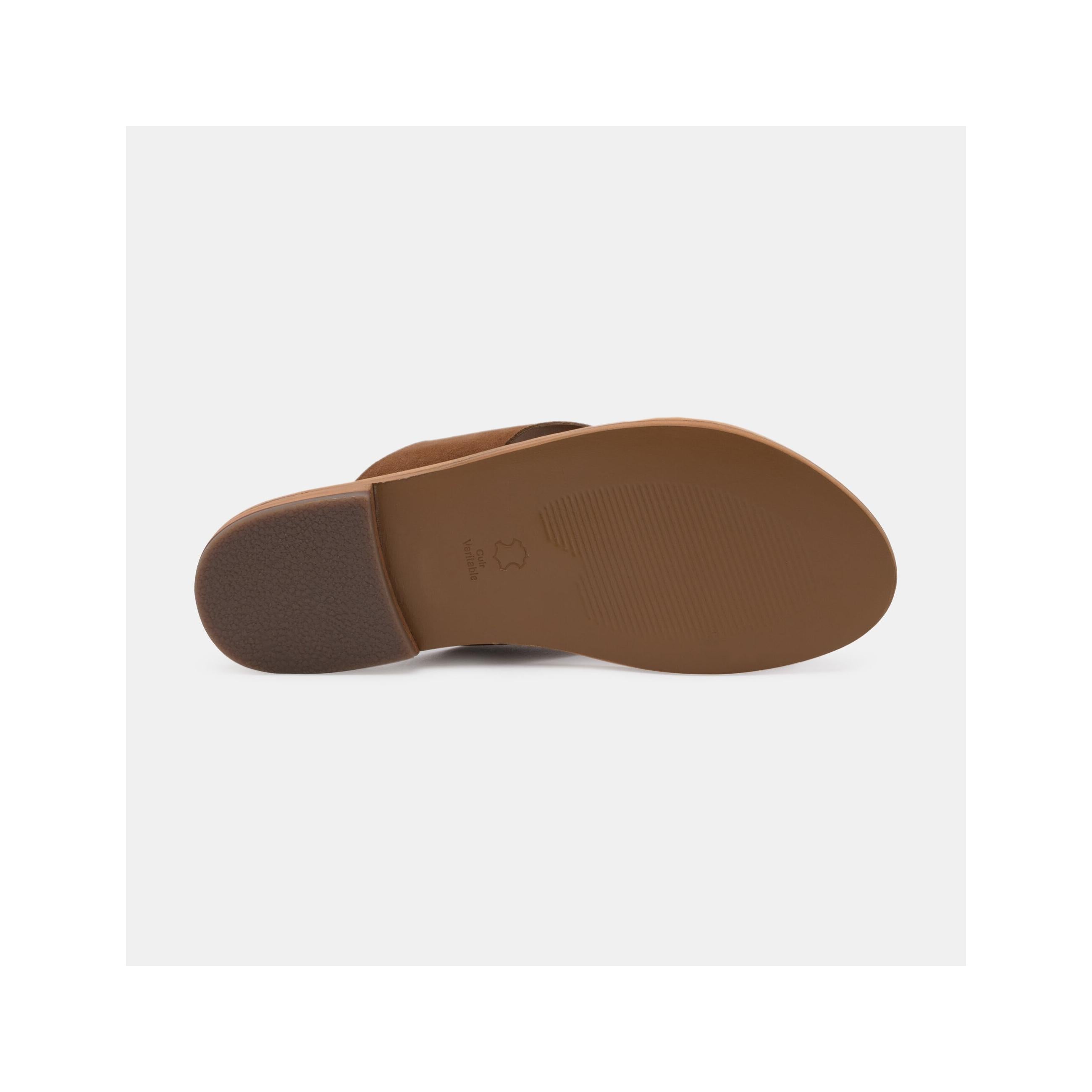Las Bagatelas - Mules Lima - Camel