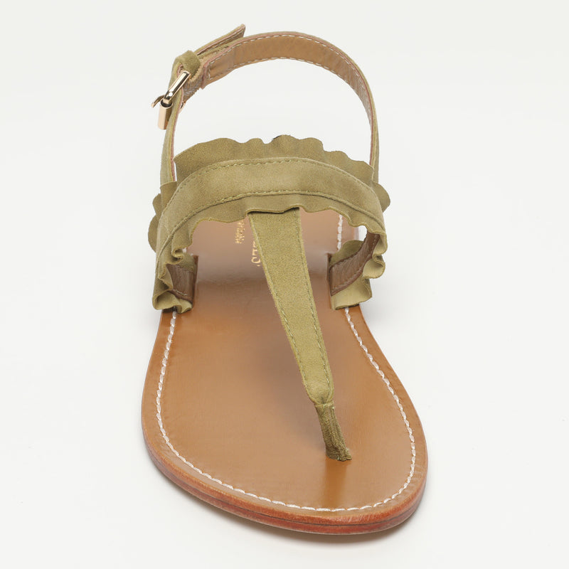Mireval - Olive