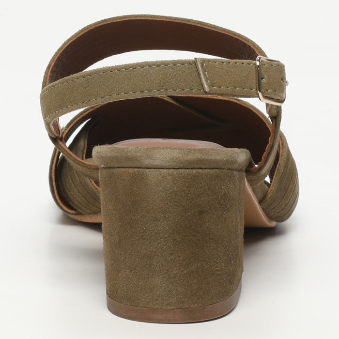 Palenca - Olive