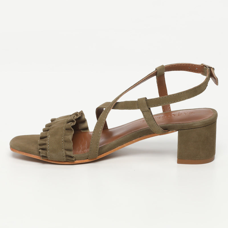 Laurentia - Olive