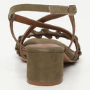 Laurentia - Olive