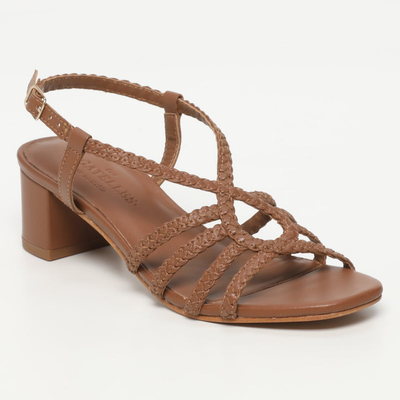 Nigella - Camel